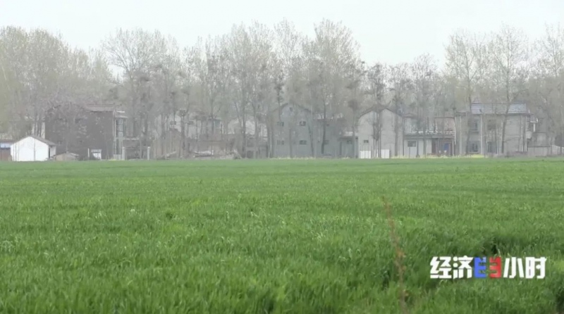 央视调查投资数千万水利工程三年不能用墙里是塑料泡沫