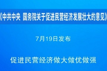 最新顶层设计扬清激浊为民营经济正名 网友：用司马南祭旗是大义所需！